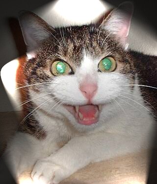 Genau ! Hier geht es weiter...